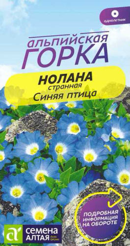 Нолана Синяя птица странная Альпийская горка