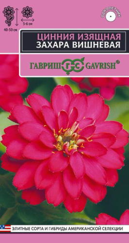 Цинния Захара вишневая