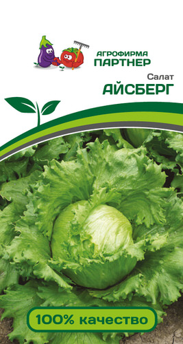 Салат Айсберг кочанный 