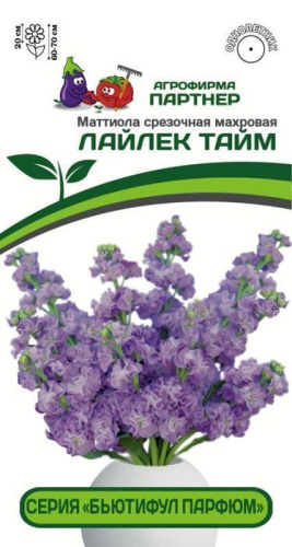 Маттиола Бьютифул Парфюм Лайлек Тайм срезочная махровая