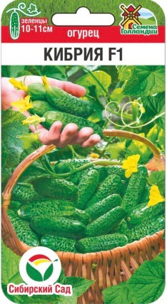 Огурец Кибрия F1