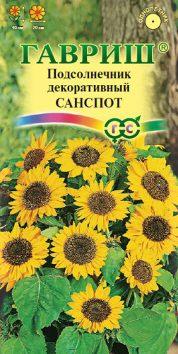 Подсолнечник Санспот карликовый 