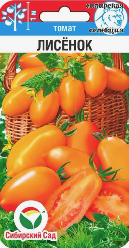 Томат Лисенок