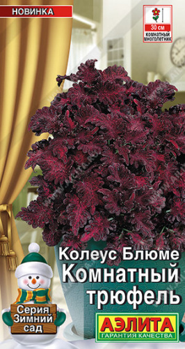 Колеус Комнатный трюфель