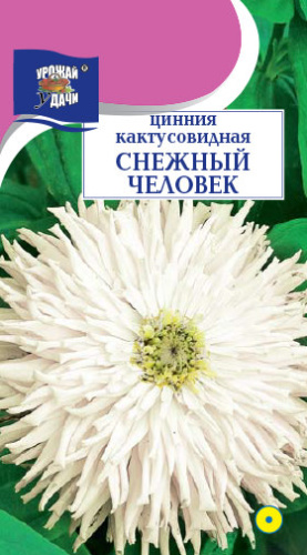 Цинния Снежный человек кактусовидная 