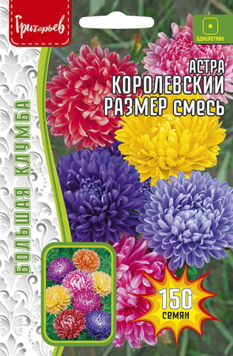 Астра Королевский Размер смесь
