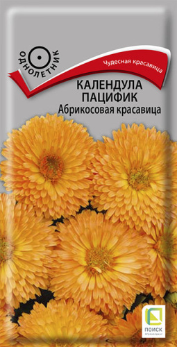 Календула пацифик Абрикосовая красавица
