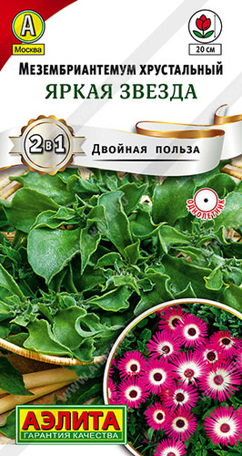 Мезембриантемум Яркая звезда 