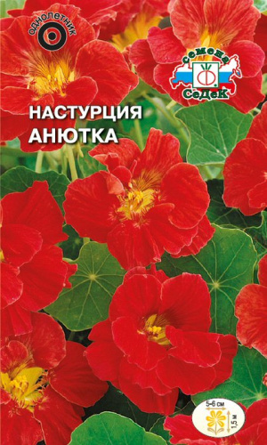 Настурция Анютка