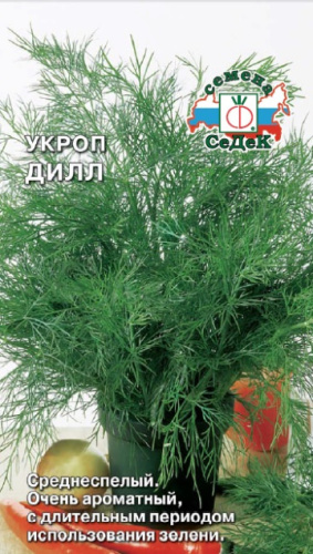 Укроп Дилл 