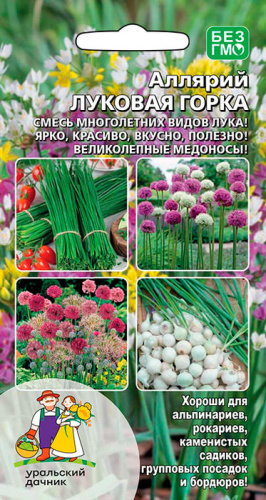 Аллярий Луковая горка
