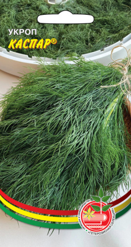 Укроп Каспар (ГС) 