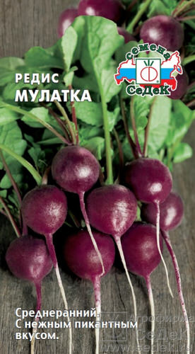 Редис Мулатка 
