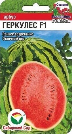 Арбуз Геркулес F1