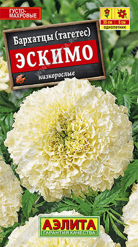 Бархатцы Эскимо прямостоячие