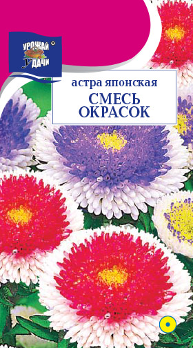 Астра Японская, смесь