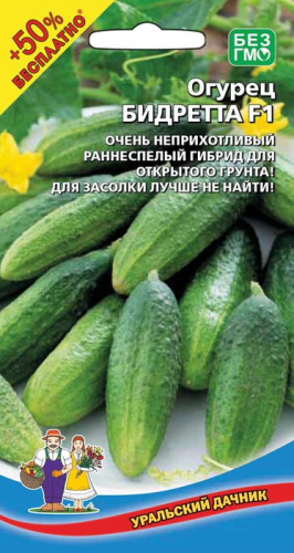 Огурец Бидретта F1