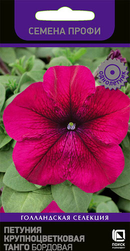 Петуния Танго F1 Бордовая крупноцветковая
