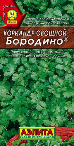 Кориандр Бородино®