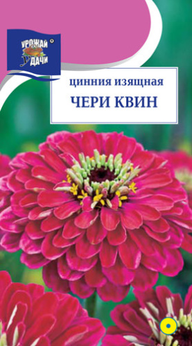 Цинния Чери Квин 