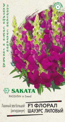 Львиный зев Флорал Шауэрс лиловый F1 