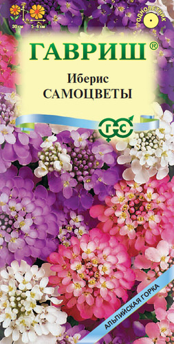 Иберис Самоцветы  Альпийская горка 