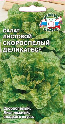 Салат Скороспелый деликатес® листовой