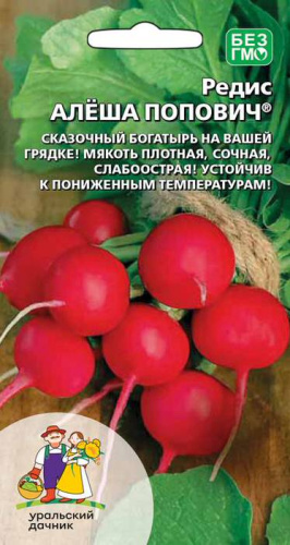 Редис Алеша Попович