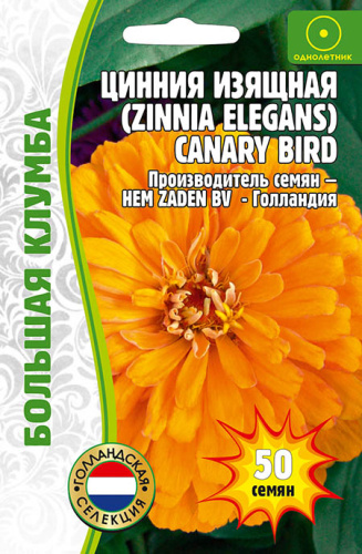 Цинния Canary Bird изящная