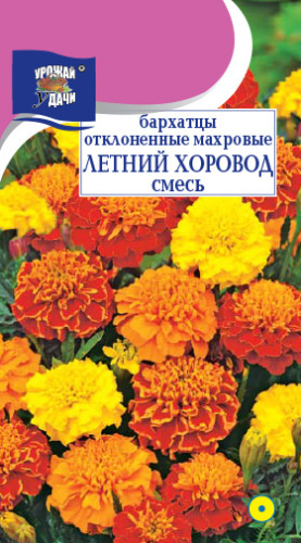 Бархатцы Летний Хоровод откл. махр.