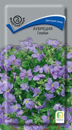 Аубреция Голубая