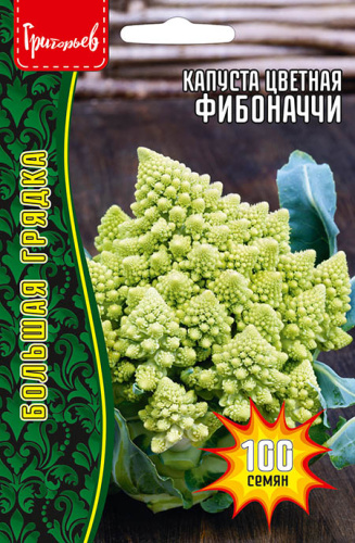 Капуста (цветная) Фибоначчи  