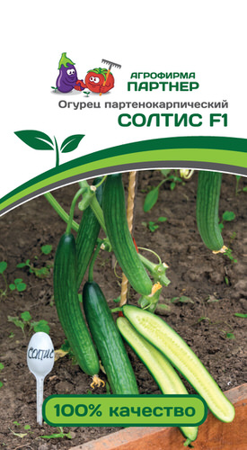 Огурец Солтис F1 ( 2-ой пак.) 