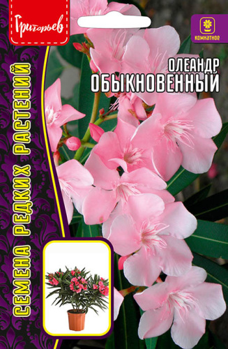 Олеандр Обыкновенный