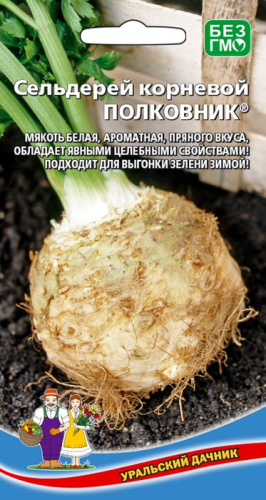 Сельдерей Полковник - корневой