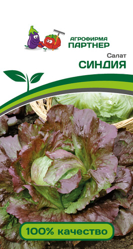 Салат Синдия 