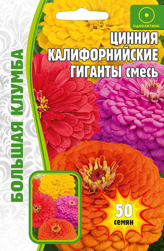 Цинния Калифорнийские гиганты 