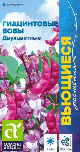 Гиацинтовые бобы Двухцветные 