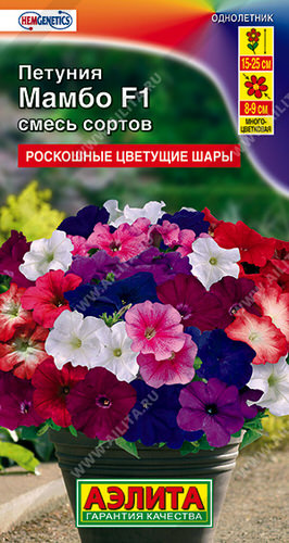 Петуния Мамбо F1, смесь многоцветковая