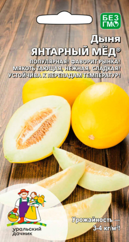Дыня Янтарный мёд 