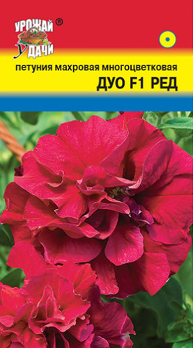 Петуния Дуо F1 Ред