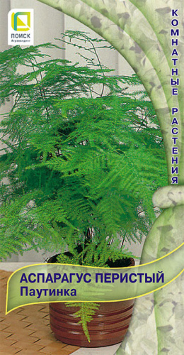 Аспарагус Мейери