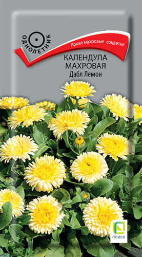 Календула махровая Дабл Лемон