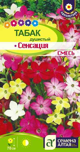 Табак Сенсация душистый