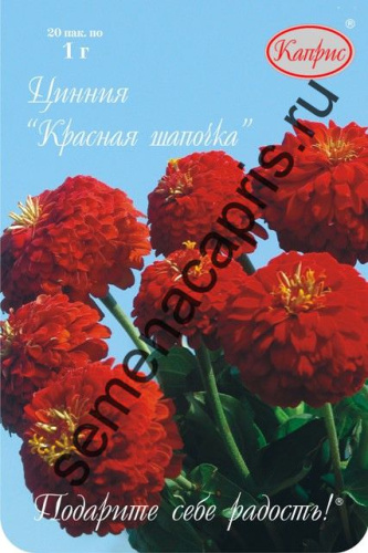 Цинния Красная шапочка/1шт