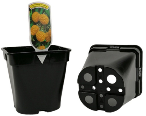 Горшок 5л 19*19*20 Квадрокруг литьевой 