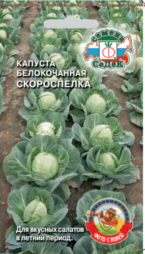 Капуста Скороспелка 