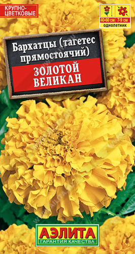 Бархатцы Золотой великан 