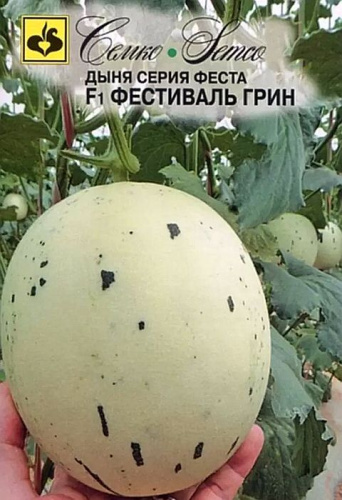 Дыня Фестиваль Грин