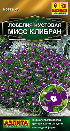 Лобелия Мисс Клибран кустовая